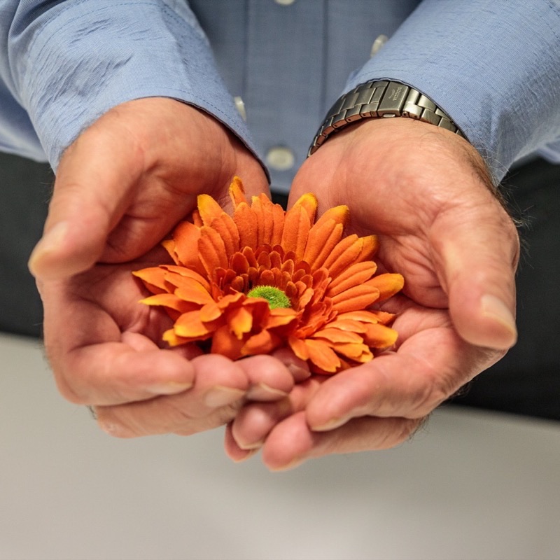 Zwei Hände halten behutsam eine orange Gerbera